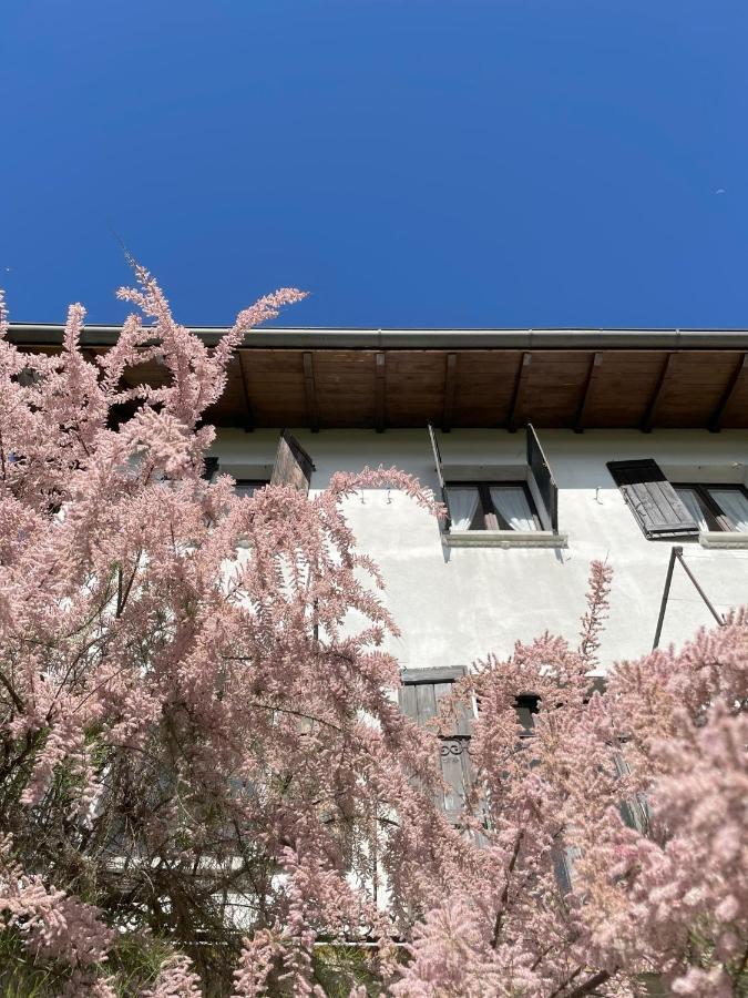 Terrazza Sul Lago Ameno Exterior photo